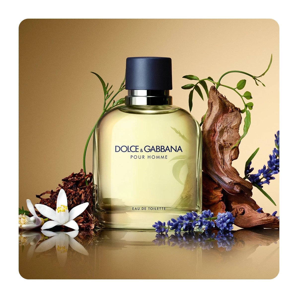 Dolce & Gabbana Pour Homme Men EDT 125ml