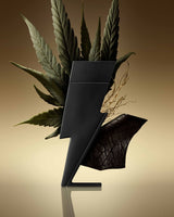 Carolina Herrera Bad Boy Le Parfum Men EDP 100ml