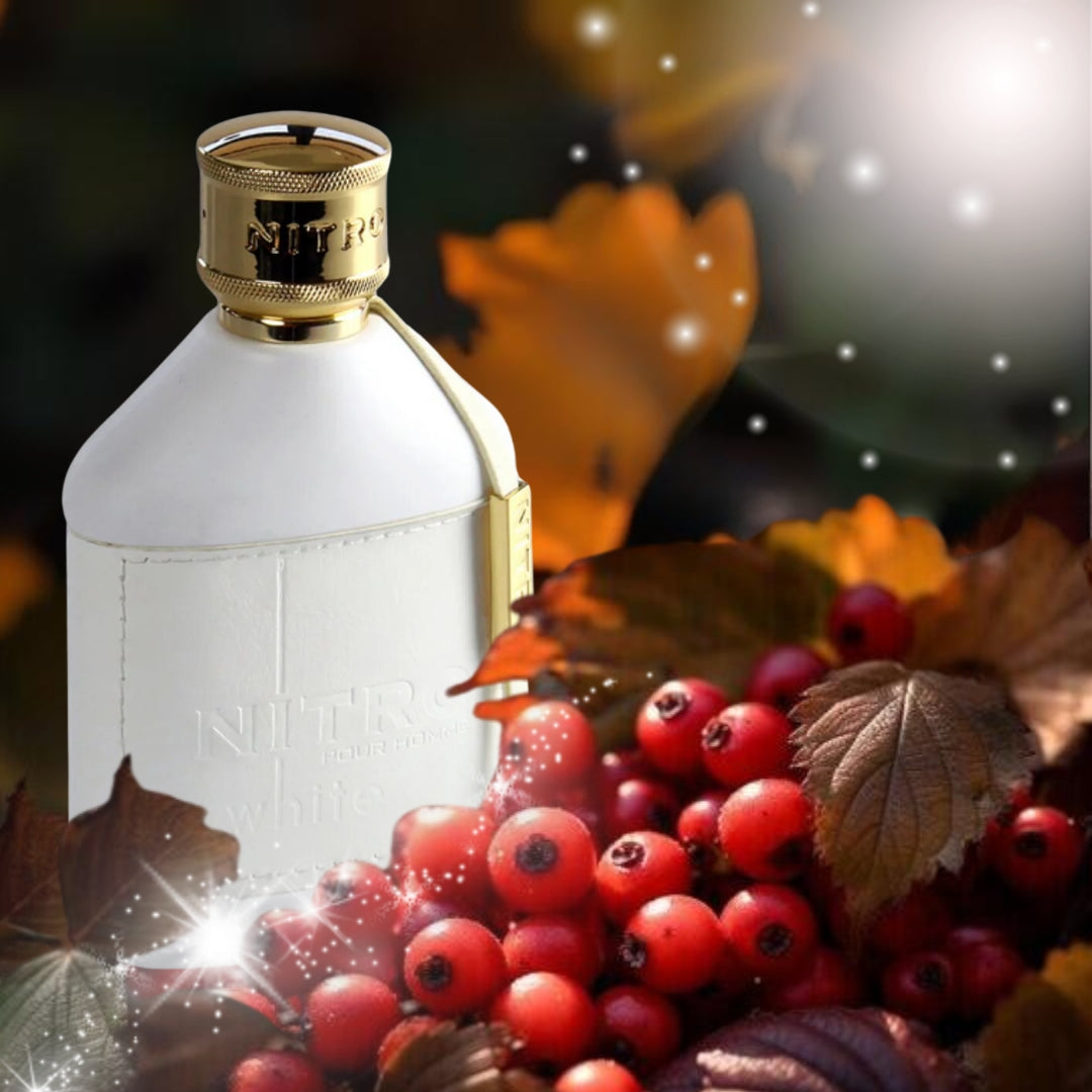 Afnan Dumont Nitro White Men EDP 100ml