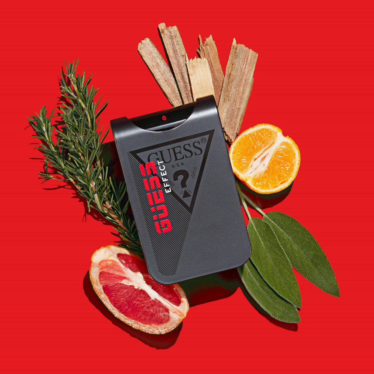 Guess Effect Men EDT 100ml