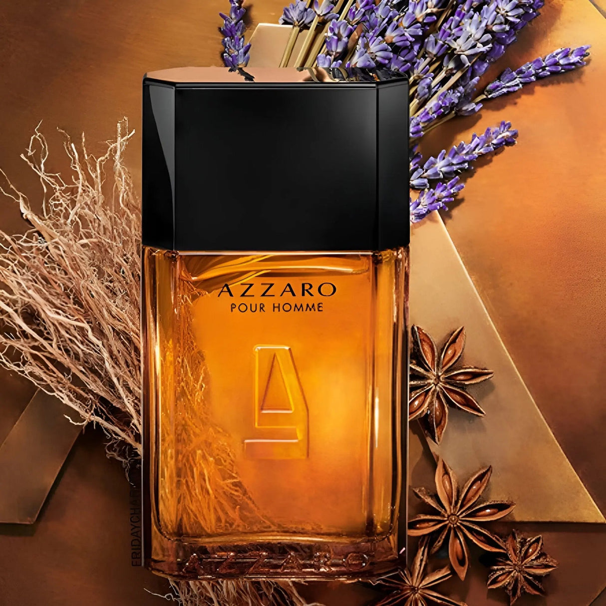 Azzaro Pour Homme Men EDT 100ml