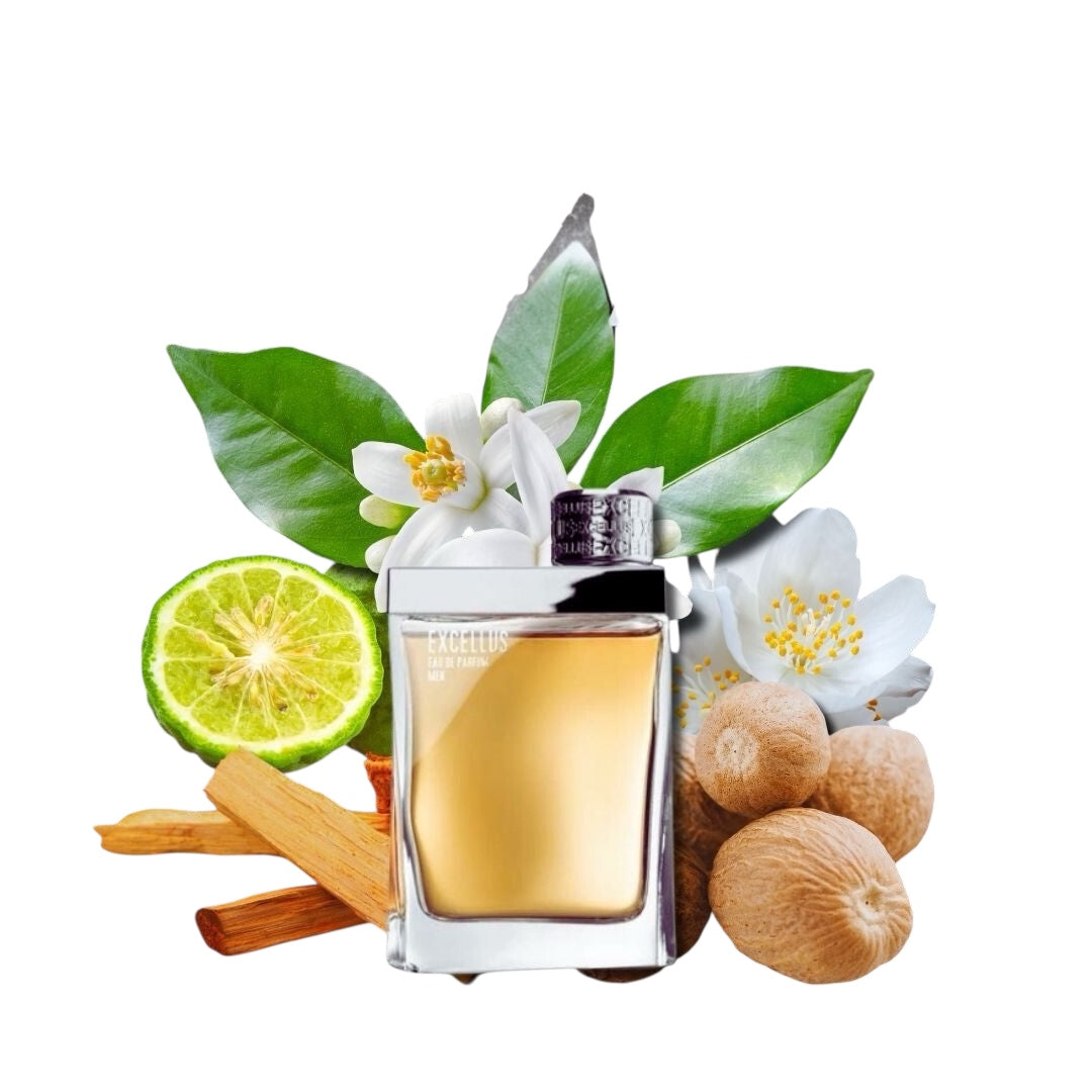 Armaf Excellus Men EDP 100ml