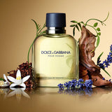 Dolce & Gabbana Pour Homme Men EDT 200ml