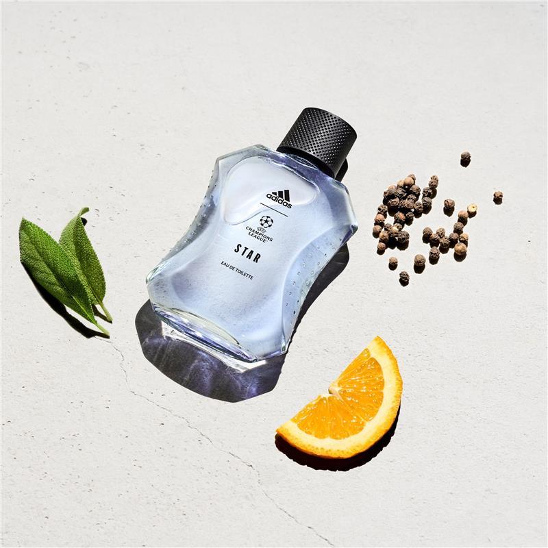 Adidas Champions League Goal Men EDT 100ml